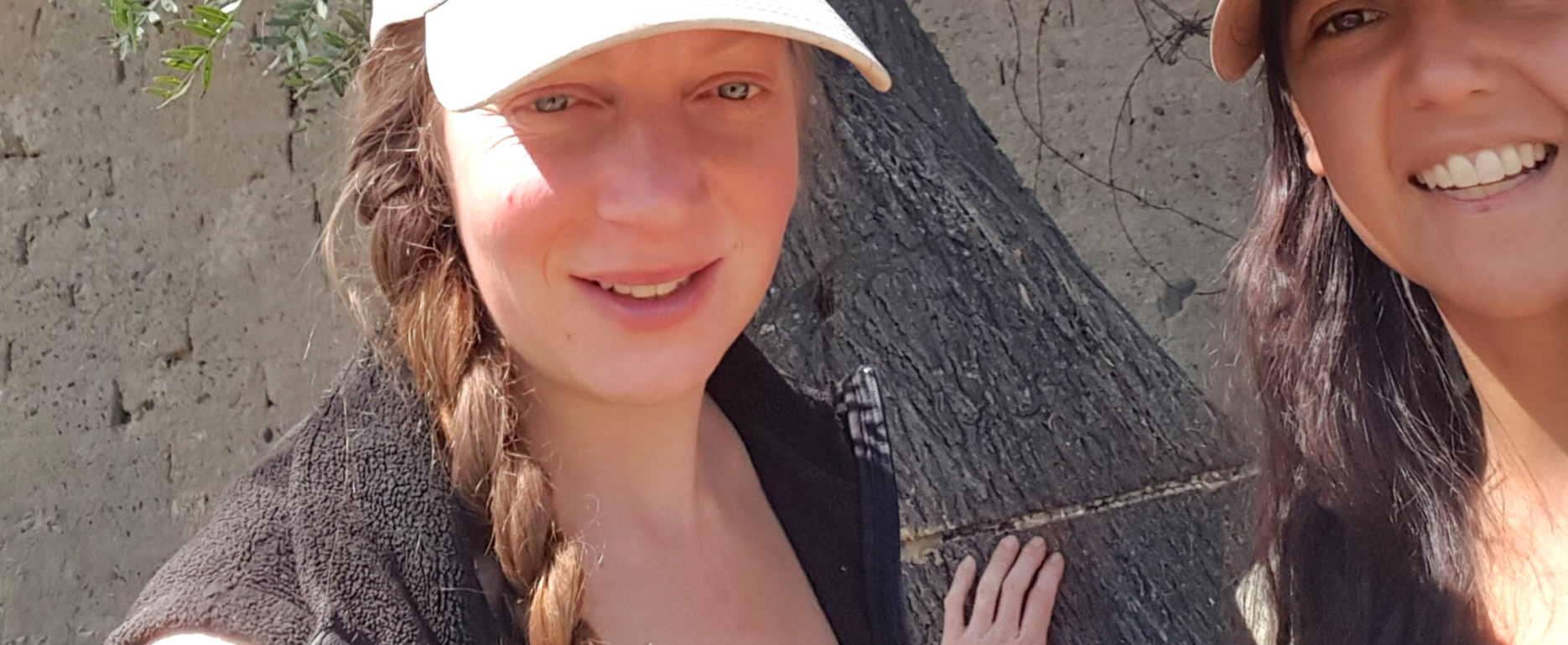 Curar el arbol janajpacha