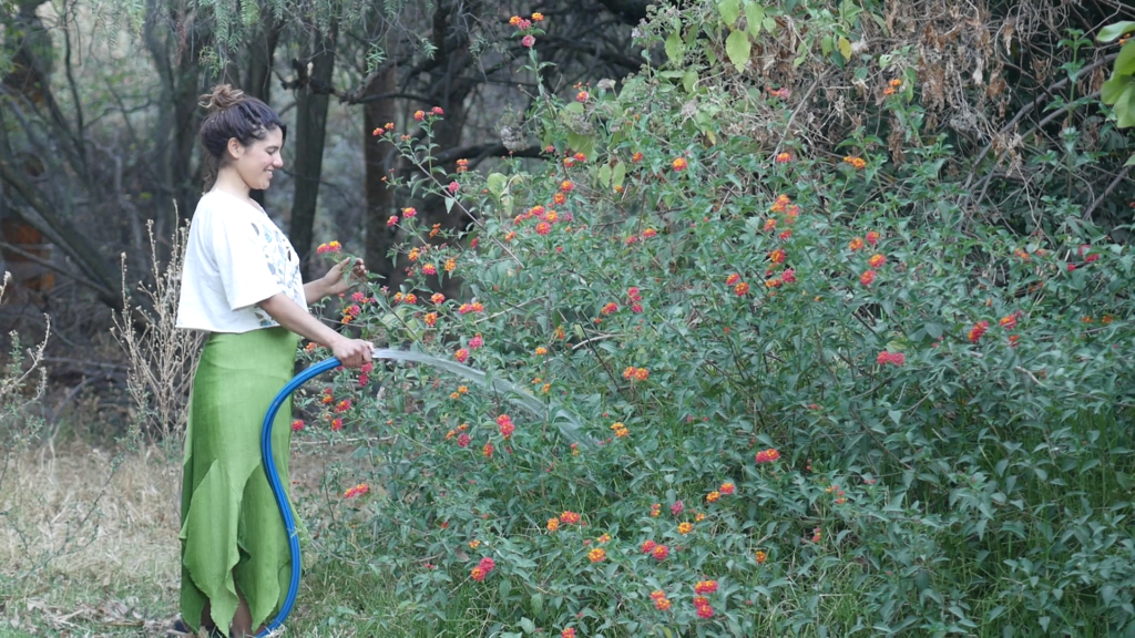 vlcsnap-2022-04-03-12h23m04s940